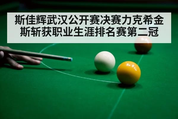 斯佳辉武汉公开赛决赛力克希金斯斩获职业生涯排名赛第二冠