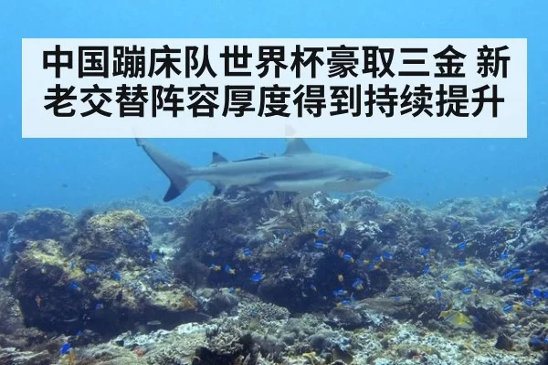 中国蹦床队世界杯豪取三金 新老交替阵容厚度得到持续提升